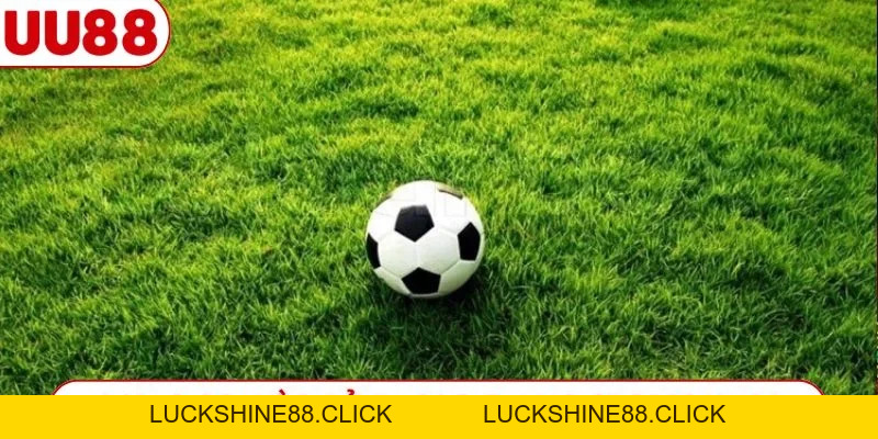 Cách Soi Kèo UG Sports UU88 Chuẩn Chỉnh - Tiền Về Như Lũ