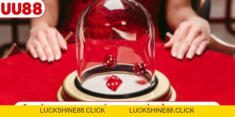Tài Xỉu Livestream - Trải Nghiệm Cùng Dàn Dealer Nóng Bỏng